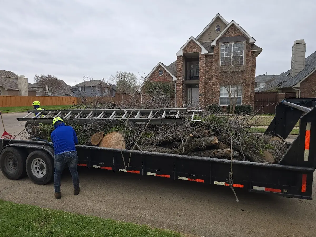 Expert Tree Pest Control with proper safety equipment in Crimora